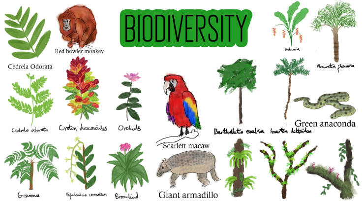 biodiversity